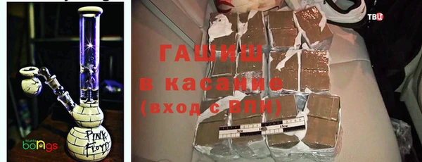 сатива Верея
