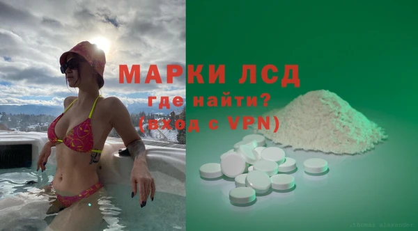 сатива Верея