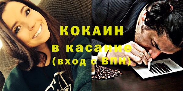 сатива Верея