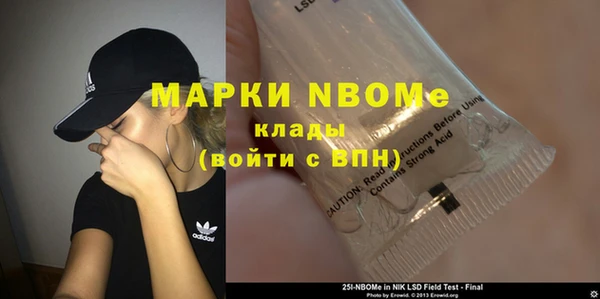 сатива Верея