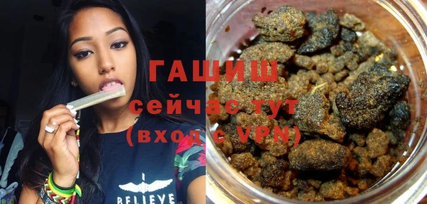 сатива Верея
