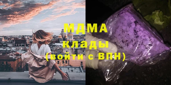 сатива Верея