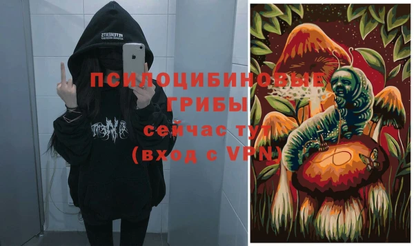 сатива Верея