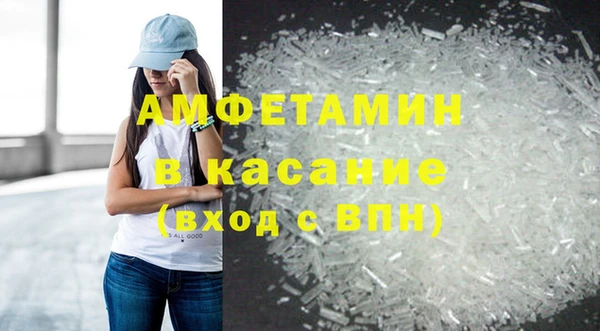 сатива Верея