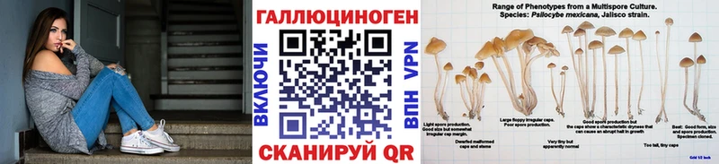 Галлюциногенные грибы Magic Shrooms  купить закладку  Орск 