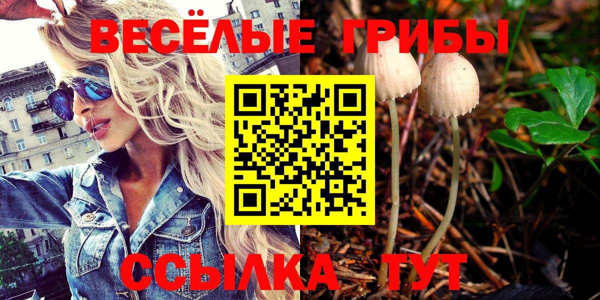 Орск  Галлюциногенные грибы Cubensis  Вход с VPN 
