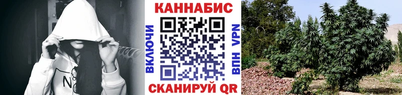 Бошки Шишки гибрид  где найти наркотики  Орск 